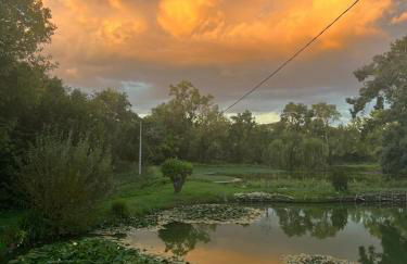 Le tarin des aulnes - Grand gîte Nénuphar - Photo 22