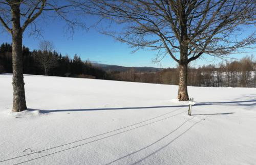 Fahrenbach-Alm - Foto 29