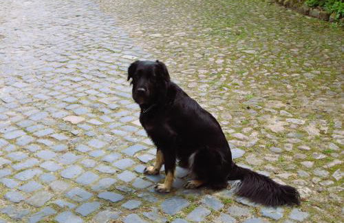 Ferienwohnung im Ferienhof, Dorfmark - Foto 23