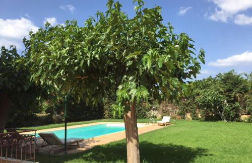 Relaxing Villa with Swimming Pool and Garden - Foto 13