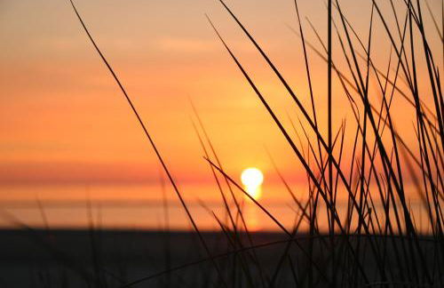 Ferienwohnung Sonnenwohnung - Foto 15