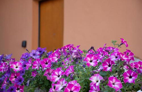 La Corte 1813 MXP Lago Maggiore Leonardo - Foto 21