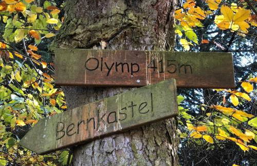 Wohnen direkt am Moselstrand - Foto 46