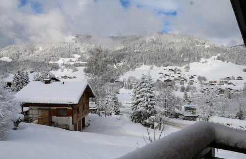 La Résidence de L'Ours - Foto 27