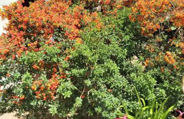 Casa El Peral - Foto 11