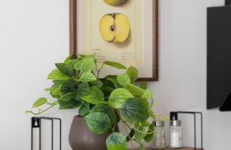 Sarmacka 27 studio 3-close to Medicover and Paley - Foto 8