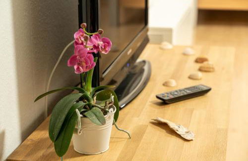 Ferienwohnung Schafbergblick - Photo 5