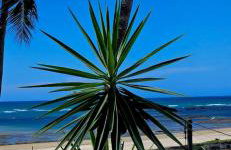 Chalés Mediterraneo - Foto 1