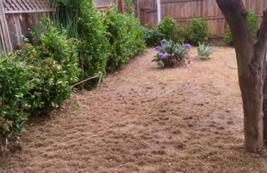 Ruth House Original Craftsman PETS, walk to State st. - Photo 30