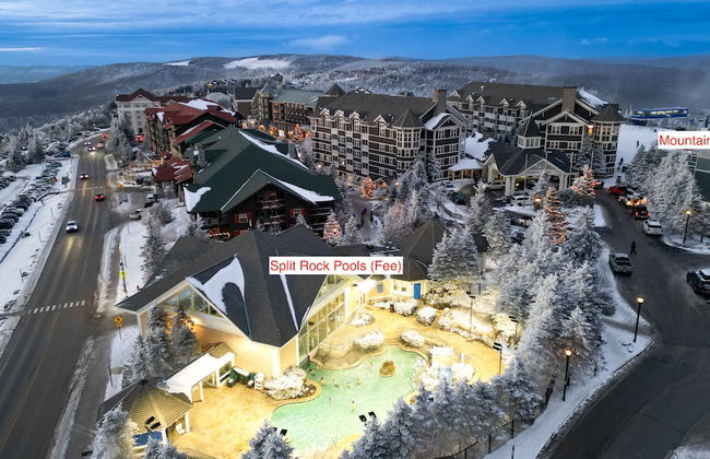 Leatherbark - Foto 19