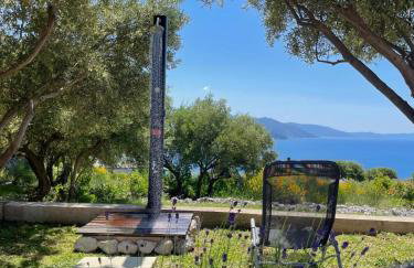 Guesthouse Villa Brestova - Foto 33