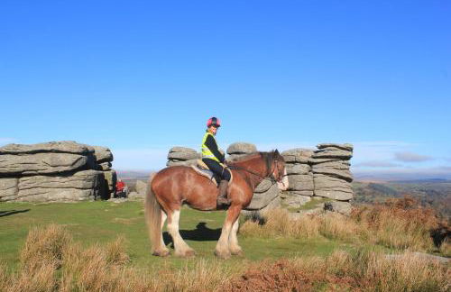 Beautiful Seaside one bedroom apartment - Foto 58