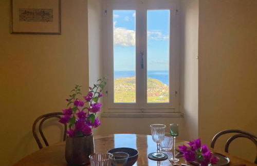 Aria di Collina - Isola d'Elba - Foto 17