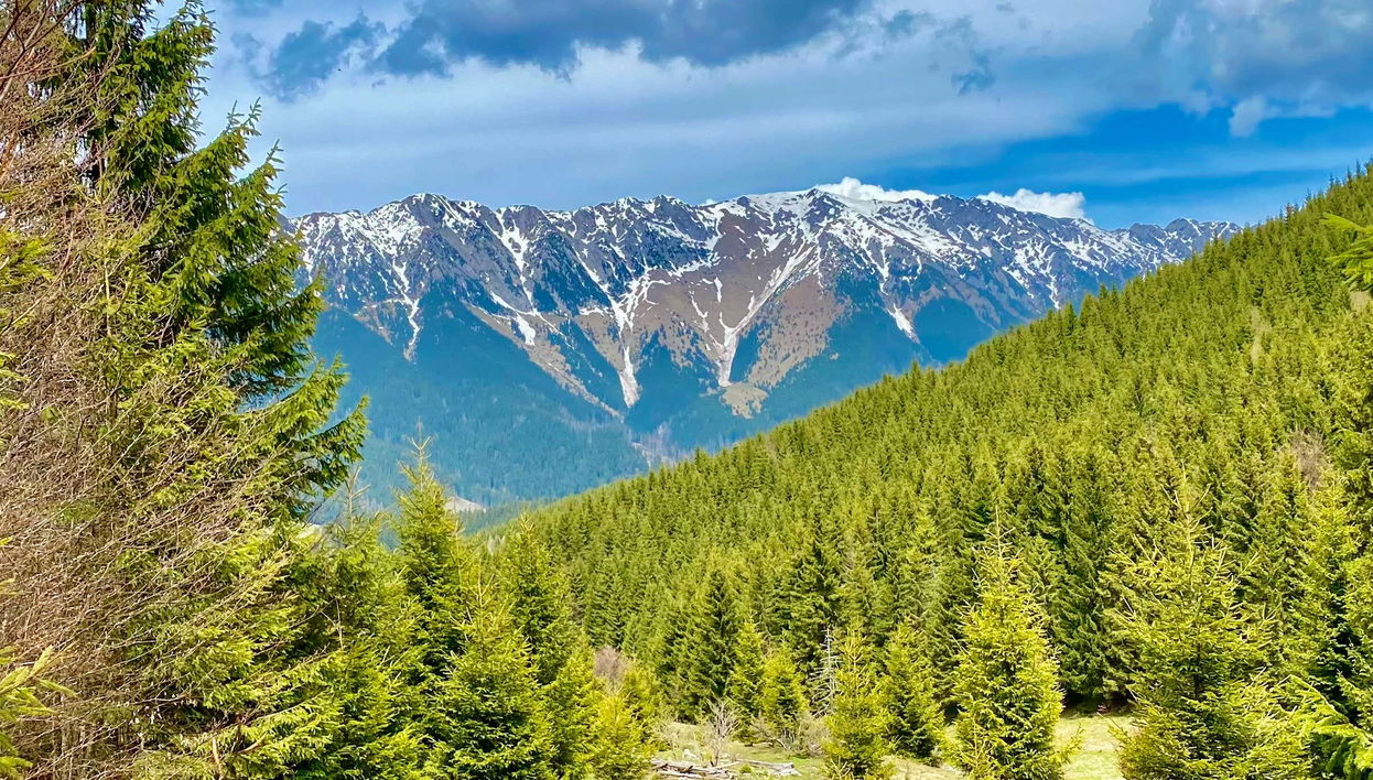 Senderismo por Ciocanu