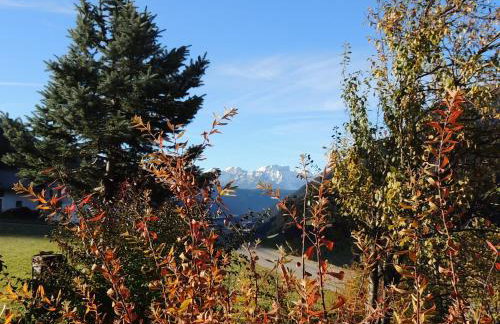 Residence Alpina - Foto 45