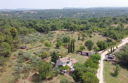 Cottage Casa Vinela - Foto 31