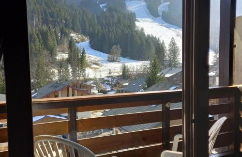 Studio Mezzanine Châtel, Parking, 4 pers. - FR-1-676-111 - Photo 3