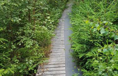 Ferienwohnung Prümtalblick - Foto 18