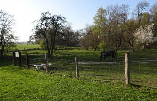 Ferienwohnung am Hufegraben - Foto 8