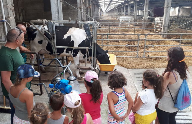 Poggiovalle Tenuta Italiana - Foto 33