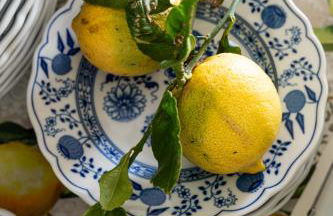 Casa de Limon - Foto 55