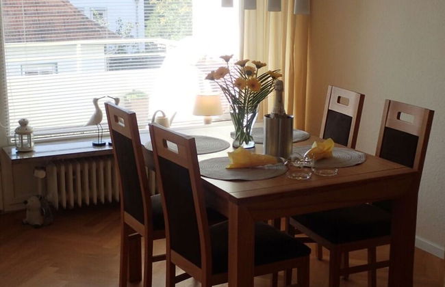 Herring Gull - Foto 15