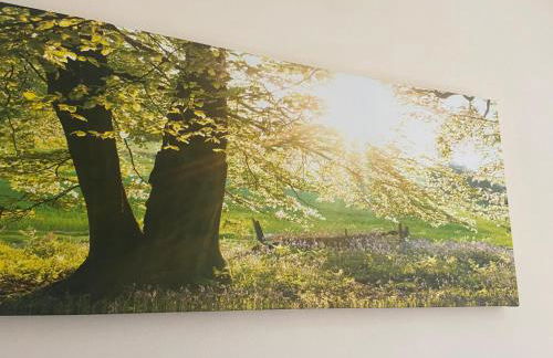 Langham Lake House Milton Keynes - ideal for couples, solo travellers, families - Foto 22