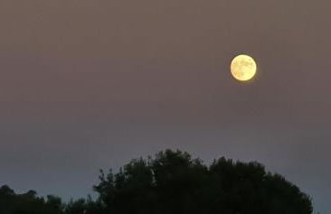 Rifugio al mare - Foto 26