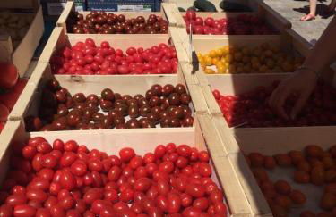 Res Port St.Ange - Photo 51