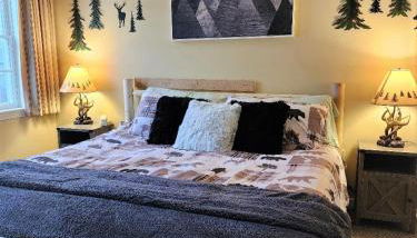 Mountain View Suite Sleeps 4 Ski OnOff Jiminy Peak - Foto 2