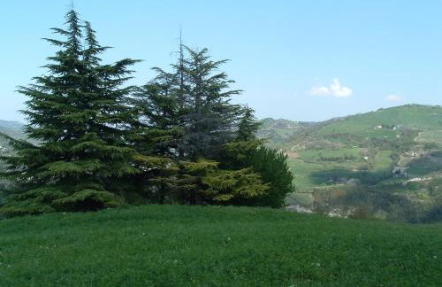 Agriturismo Campo Rosso - Foto 101