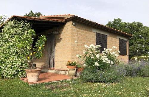 Monolocale La Mimosa - Foto 12