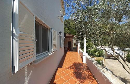 Apartments Nadine Mljet Komfort mit Meerblick - Foto 47