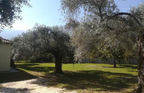 Lucia's Home - Foto 18