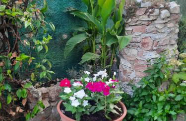 Appartamento Rosanna - Foto 55