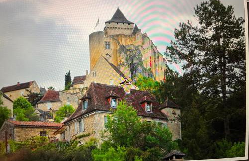 Vue magique à Castelnaud - Foto 4