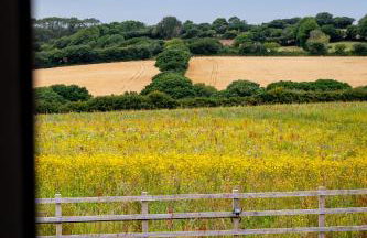 The Woodland Collection, 10 mins from beaches - Photo 28