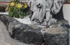 Casa marroquina - Foto 4