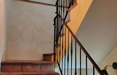 Il Gallo d' Oro - Scoiattolo - Foto 14