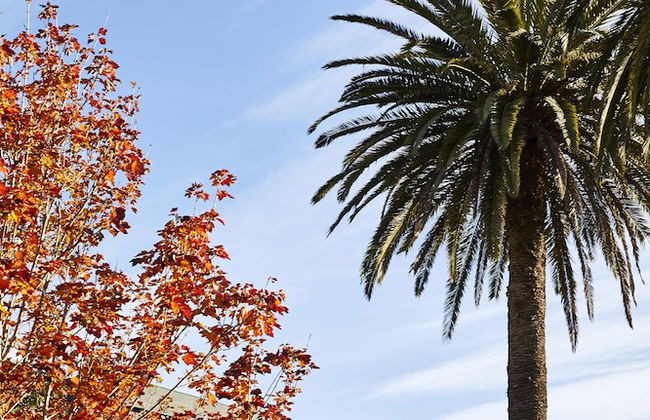 Astina Suites - Foto 56