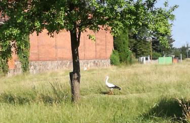 besinndich - Foto 22