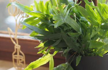 Fewo Xantener Südsee 4you - Foto 37