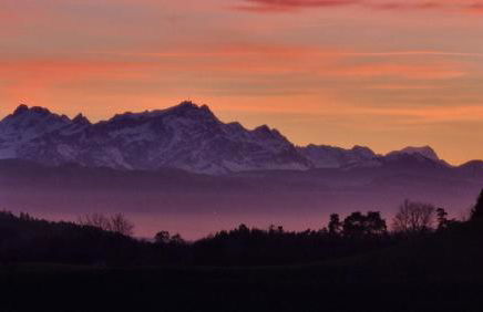 Ferienhof Metzler - Foto 35
