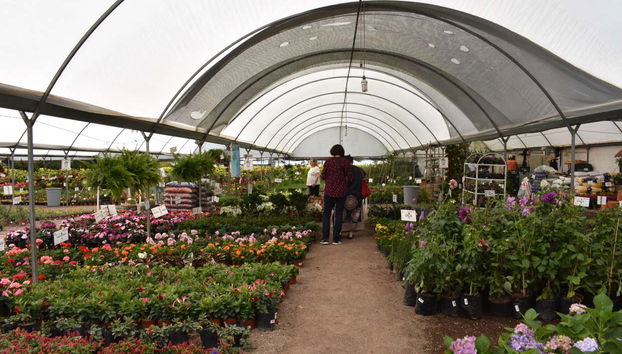 Atlixco & Chipilo Tour - Foto 4