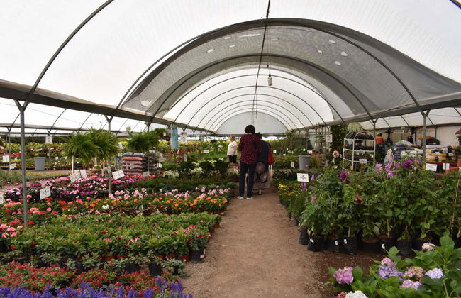 Atlixco & Chipilo Tour - Foto 4