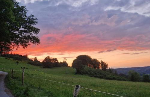 Ferienwohnung Sauerlandherz - Foto 27