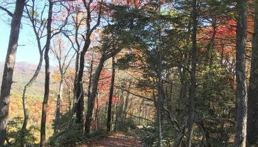 Elkhorn Rustic Blowing Rock Cabin Amazing Views - Foto 5