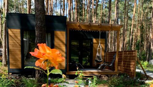 Uroczy mały domek na leśnej działce - Łosiówka - Foto 4