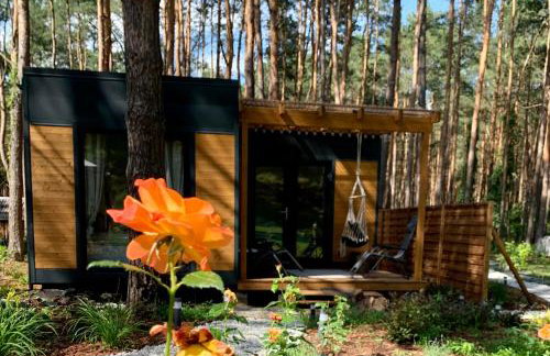 Uroczy mały domek na leśnej działce - Łosiówka - Foto 4