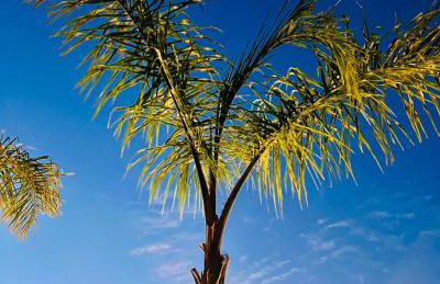 Lourença Stays - Quinta Lourenca - Foto 7